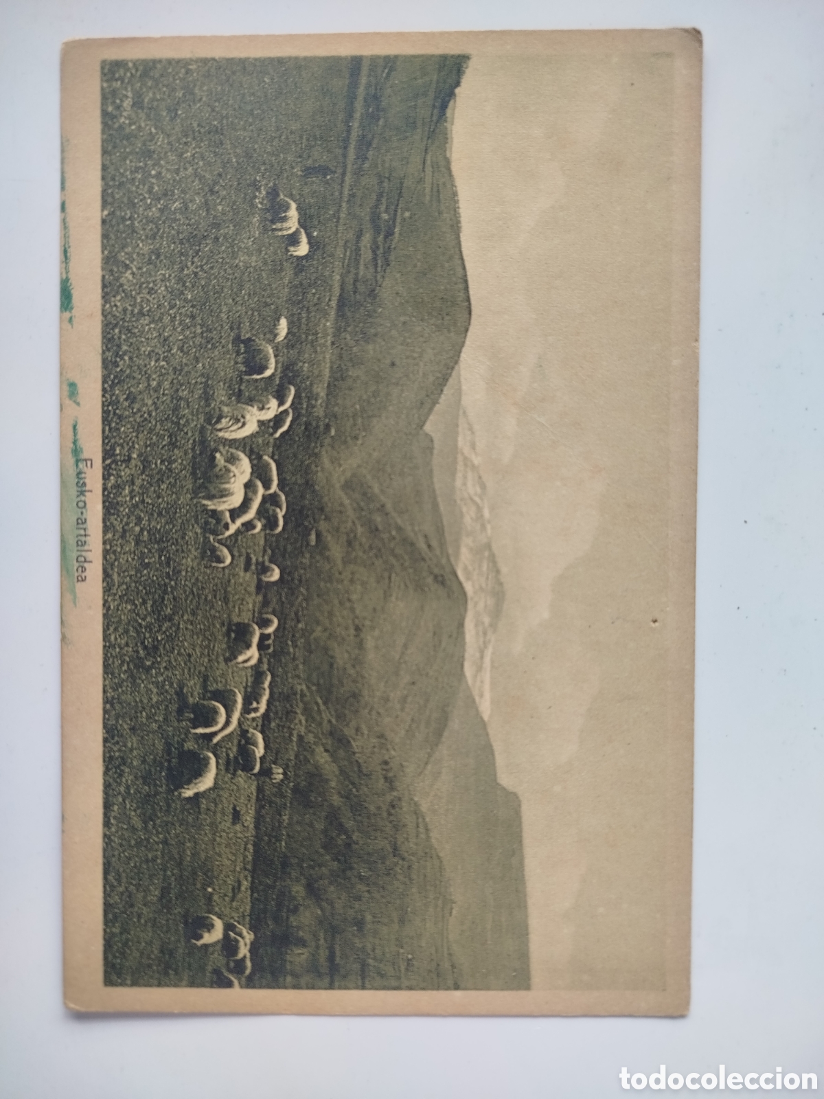 Postales: POSTAL SIN CIRCULAR EUSKO-ARTALDEA. FELIPE DE MANTEROLA. CEANURI