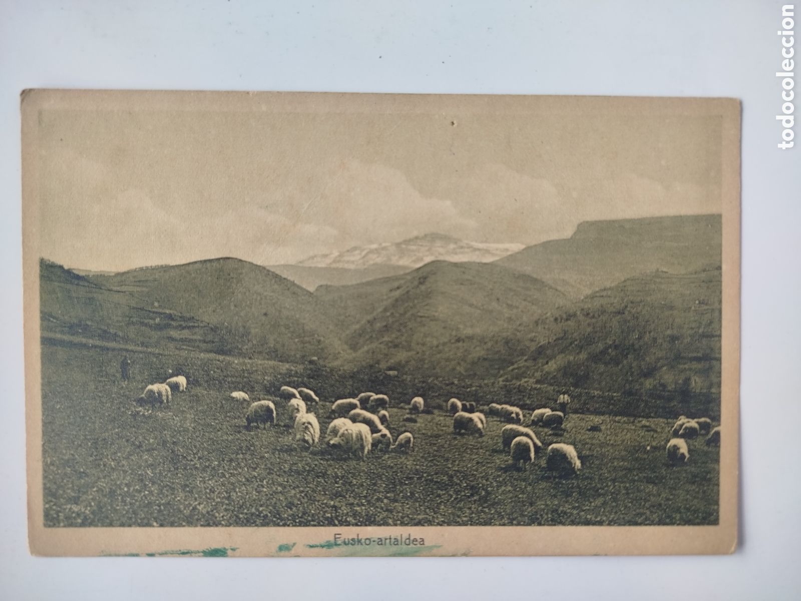 Postales: POSTAL SIN CIRCULAR EUSKO-ARTALDEA. FELIPE DE MANTEROLA. CEANURI