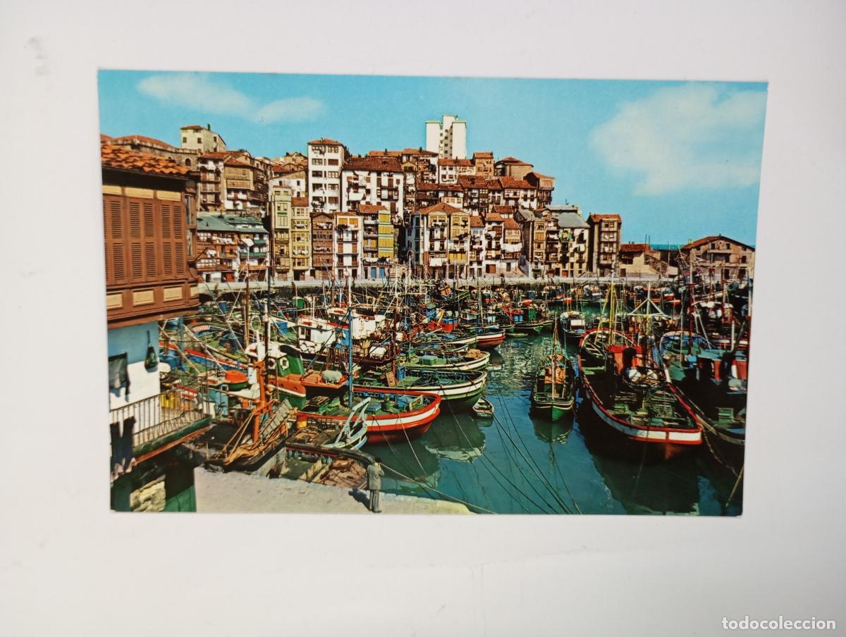 Postales: POSTAL DE BERMEO. VIZCAYA. TDKP29R