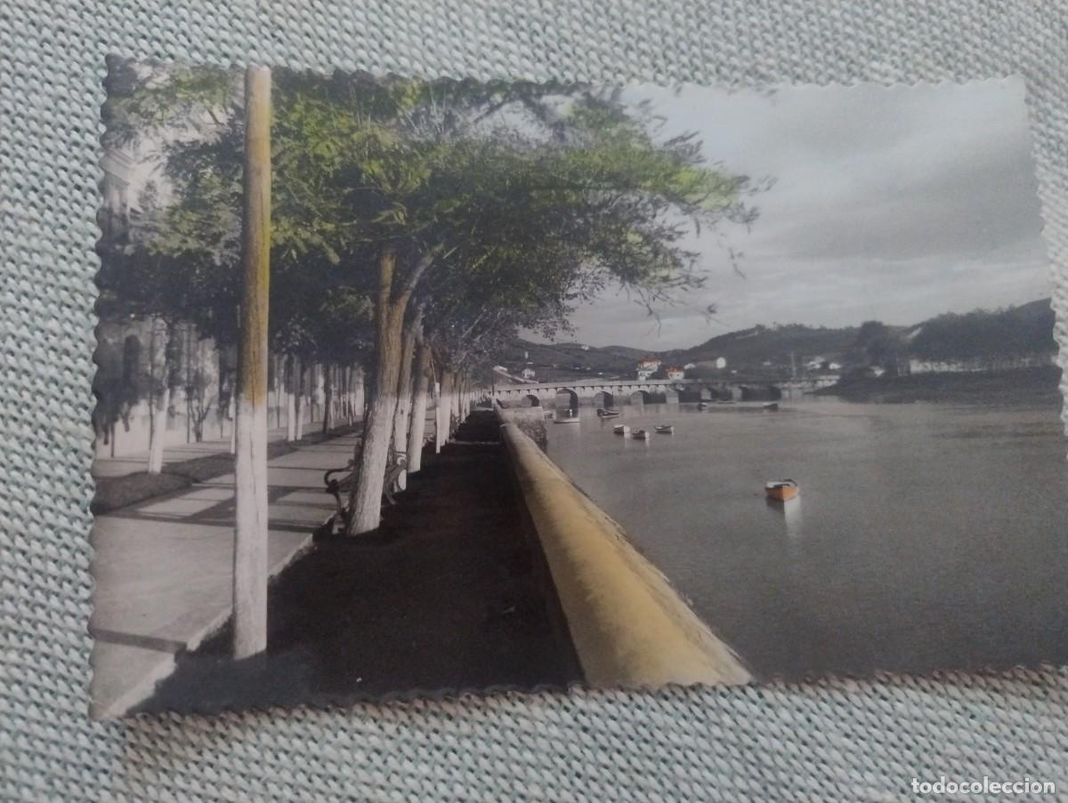 Postales: Plencia Vizcaya Paseo de Allendesalazar (Ed.Maite num. 155). Coloreada. Sin circular.