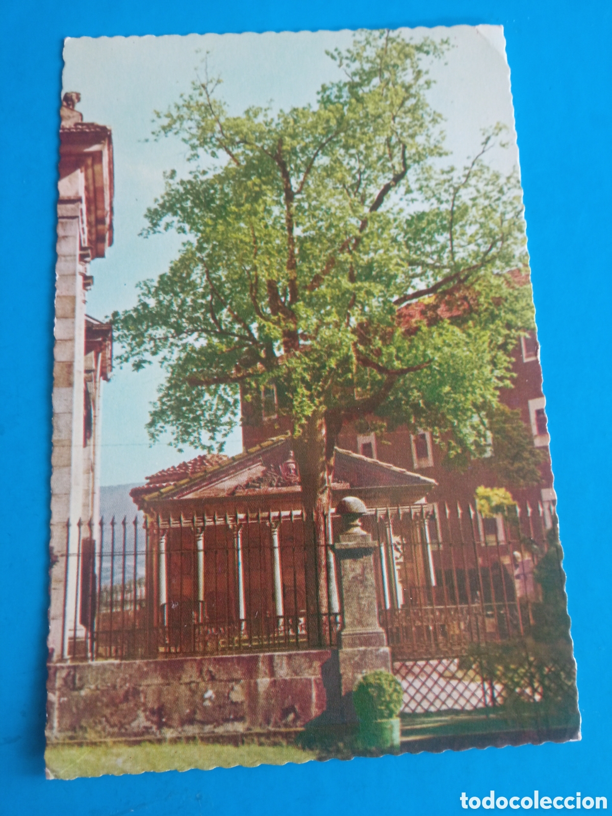 Postales: Antigua postal fotogr&aacute;fica, &Aacute;rbol de Guernica, (Vizcaya)