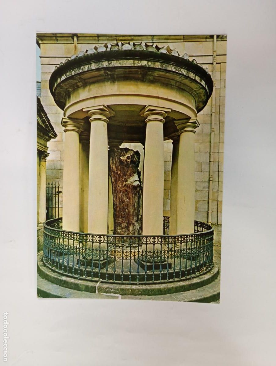 Postales: POSTAL DE GUERNICA. &Aacute;RBOL HIST&Oacute;RICO. TRONCO. TDKP29X