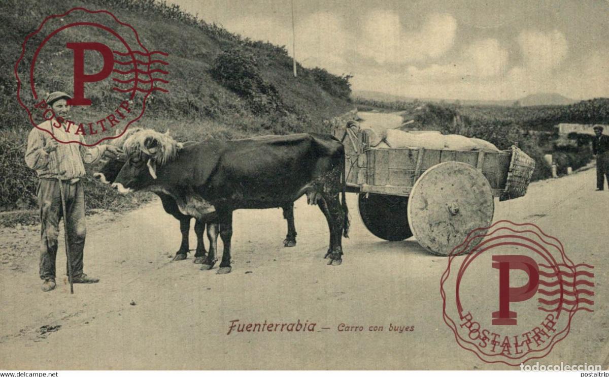 Postales: GUIPUZCOA. FUENTERRABIA. CARRO CON BUEYES.