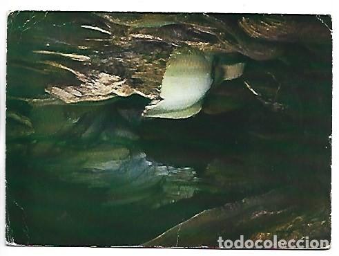 Postales: VISTA INTERIOR DE LA CUEVA, CAVERNA DE SANTIMAMI&Ntilde;E.- GUERNICA / VIZCAYA
