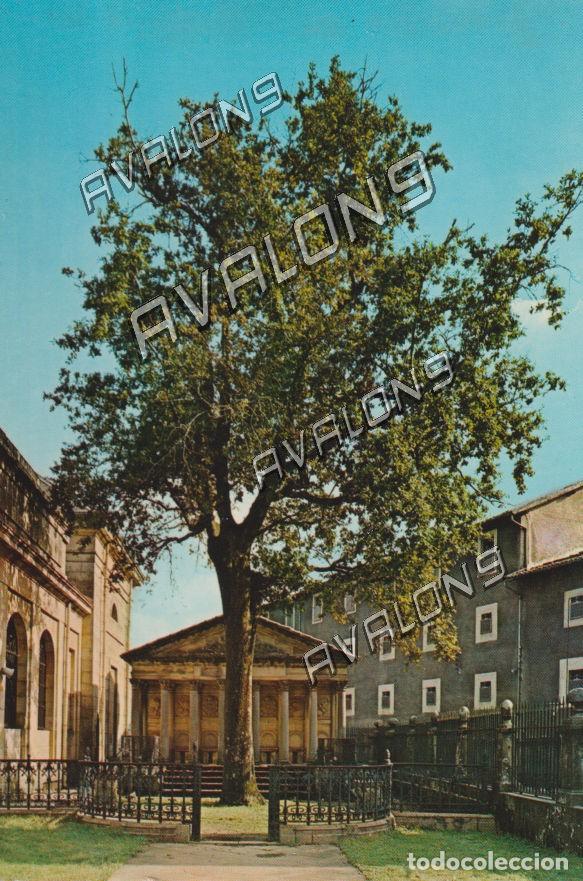 Postales: &Aacute;rbol simb&oacute;lico de Guernica (Vizcaya) - Sin circular - A&ntilde;os 60