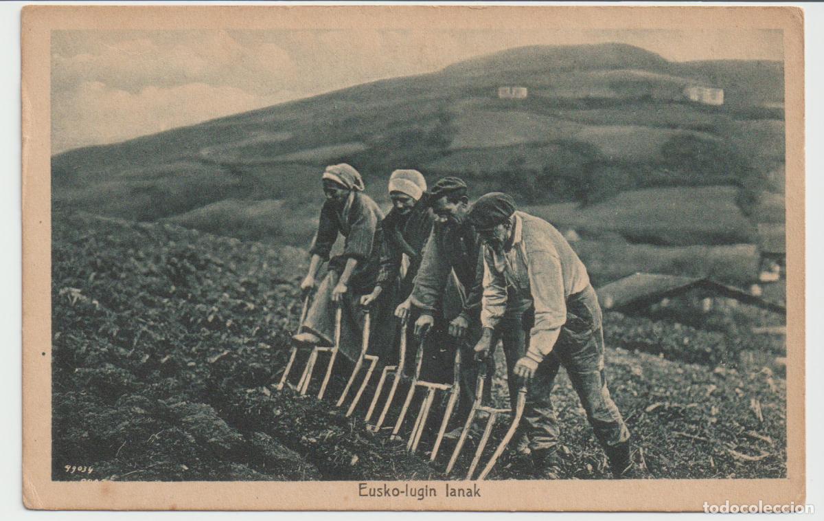 Postales: Eusko-lugin Ianak-Trabajos Agricolas .PAIS VASCO