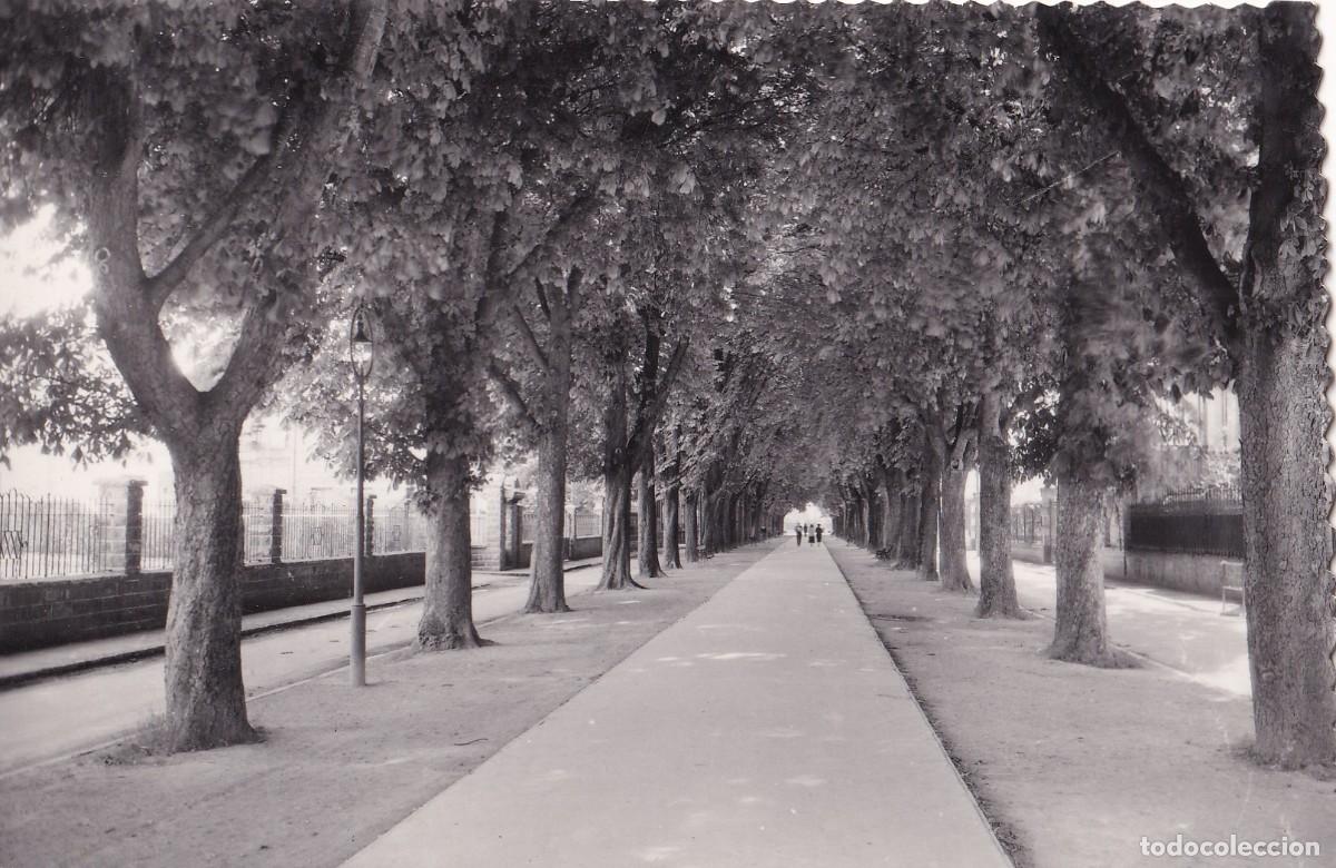 Postales: VITORIA 30 Paseo de la Senda. Ediciones Sicilia. Escrita en 1963 Sin circular.