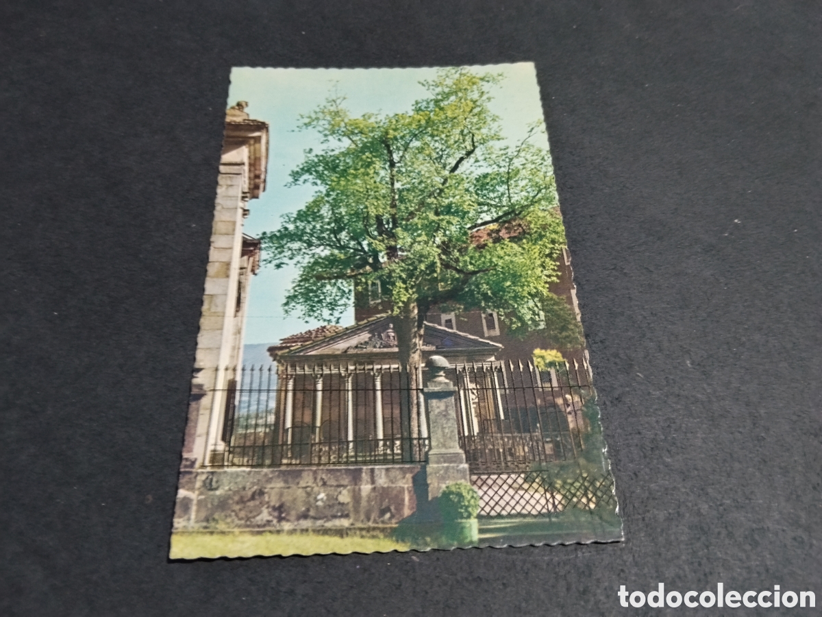 Postales: Postal Vizcaya, &aacute;rbol de Guernica