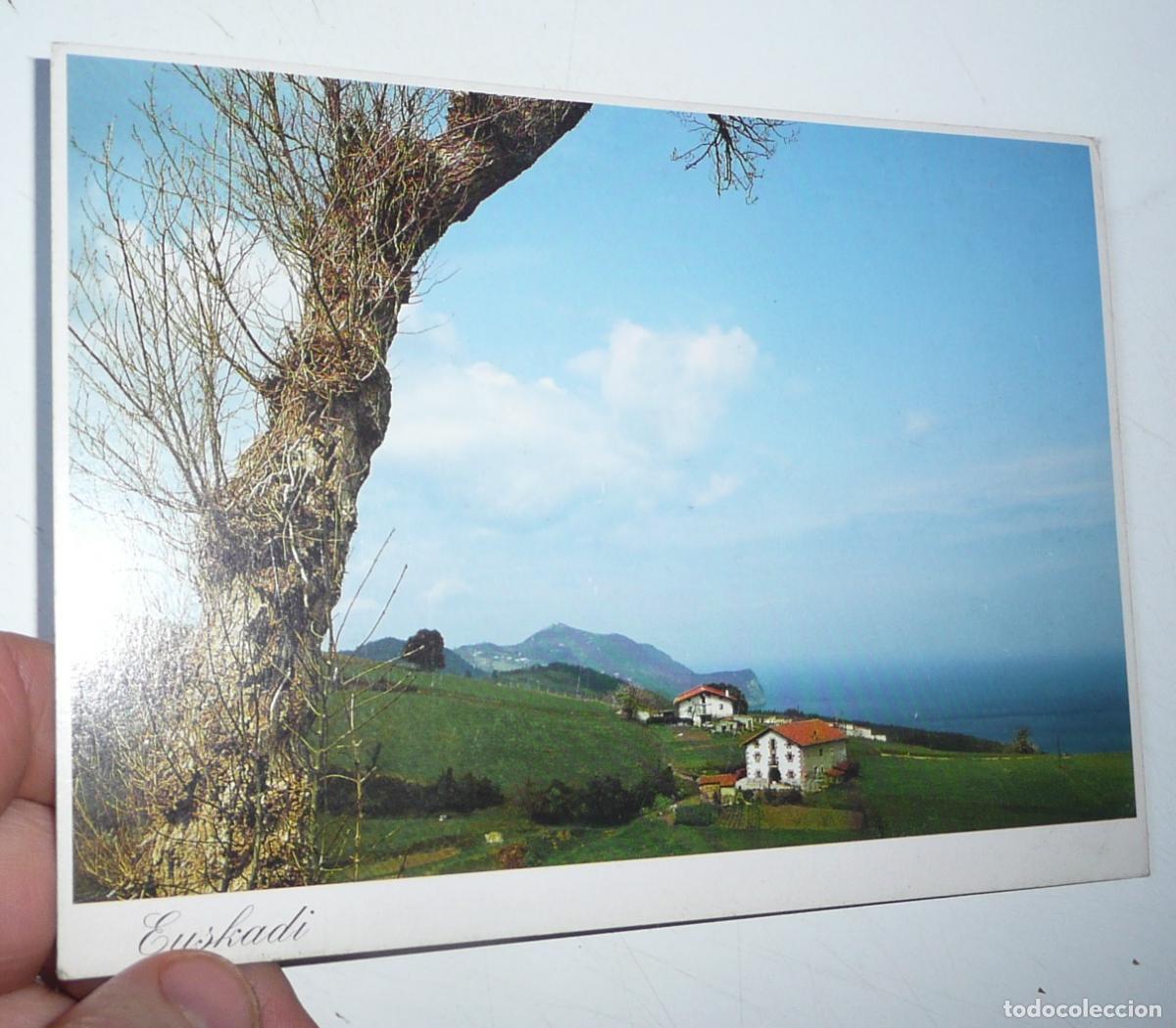 Postales: Postal Pa&iacute;s Vasco Euskadi E-095-P Mirando al mar
