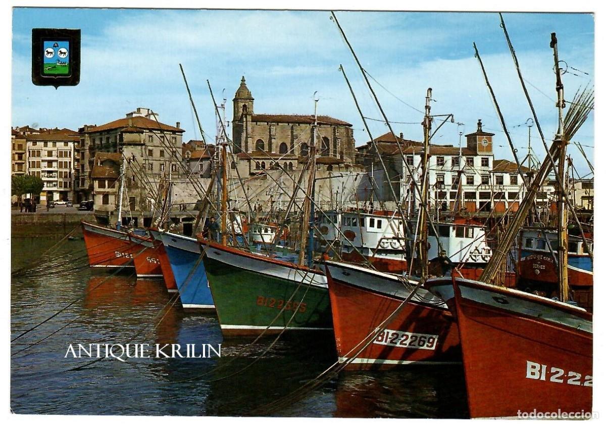 Postales: BERMEO N&ordm; 115 PESQUEROS EN EL PUERTO / ESCUDO DE ORO / SIN FRANQUEAR