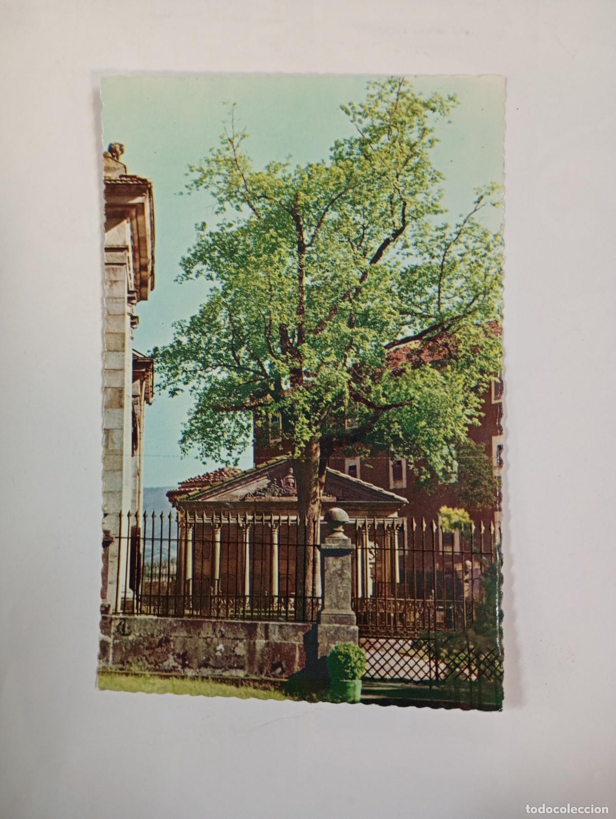 Postales: POSTAL DE &Aacute;RBOL DE GUERNICA. VIZCAYA. TDKP30G