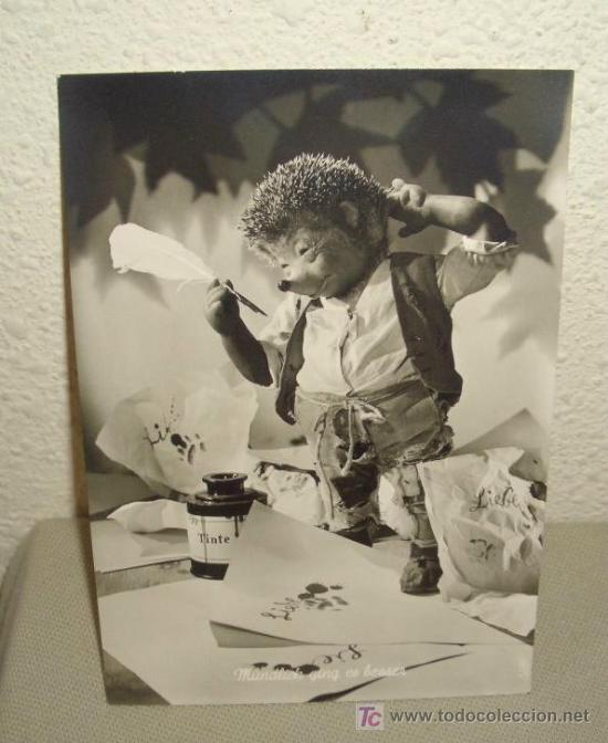 Postales: MECKI,ERIZO STEIFF,A&Ntilde;OS 40 - Foto 1