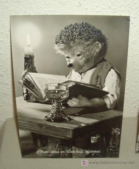 Postales: MECKI,ERIZO STEIFF,A&Ntilde;OS 40 - Foto 1