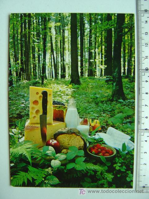 Postales: SWITZERLAND - EL AUTENTICO QUESO SUIZO - Foto 1