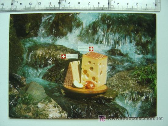 Postales: SWITZERLAND - EL AUTENTICO QUESO SUIZO - Foto 1
