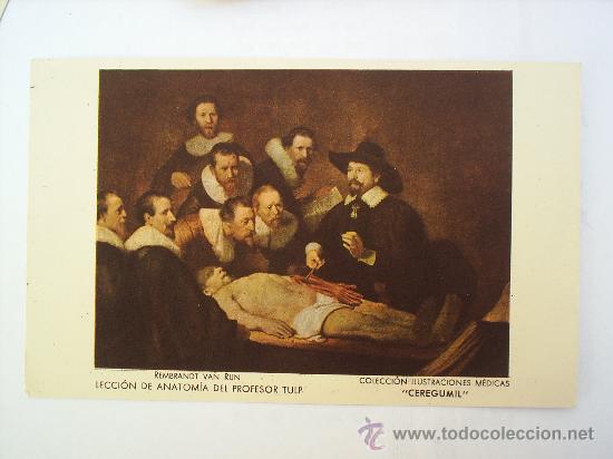 Postales: CEREGUMIL LECCION DE ANATOMIA - N. 8-SIN CIRCULAR - Foto 1