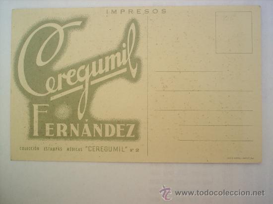 Postales: CEREGUMIL LECCION DE ANATOMIA - N. 8-SIN CIRCULAR - Foto 2