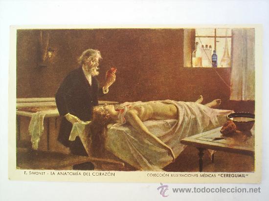 Postales: CEREGUMIL-LECCION DE ANATOMIA-N.1 - Foto 1