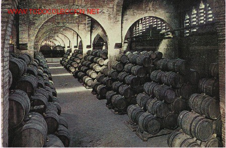Postales: Postal Cavas Codorniu - Foto 1