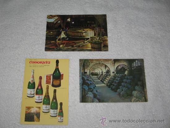 Postales: LOTE DE 3 POSTALES DE CODORNIU - Foto 1