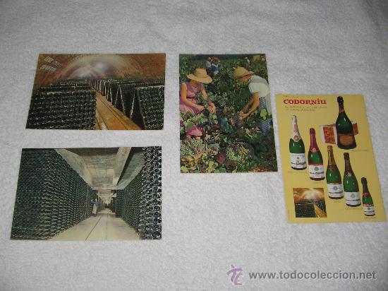 Postales: LOTE DE 4 POSTALES DE CODORNIU - Foto 1