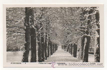 Postales: PUIGCERD&Agrave;. PASEO DEL LAGO, NEVADO. (ED. E. P&Iacute;AS) - Foto 1