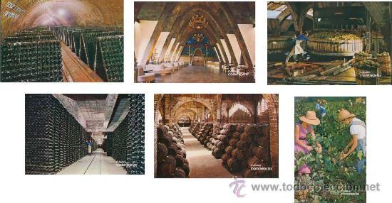 Postales: Postal - coleccion de 9 postales de las Cavas Codorniu - Foto 2
