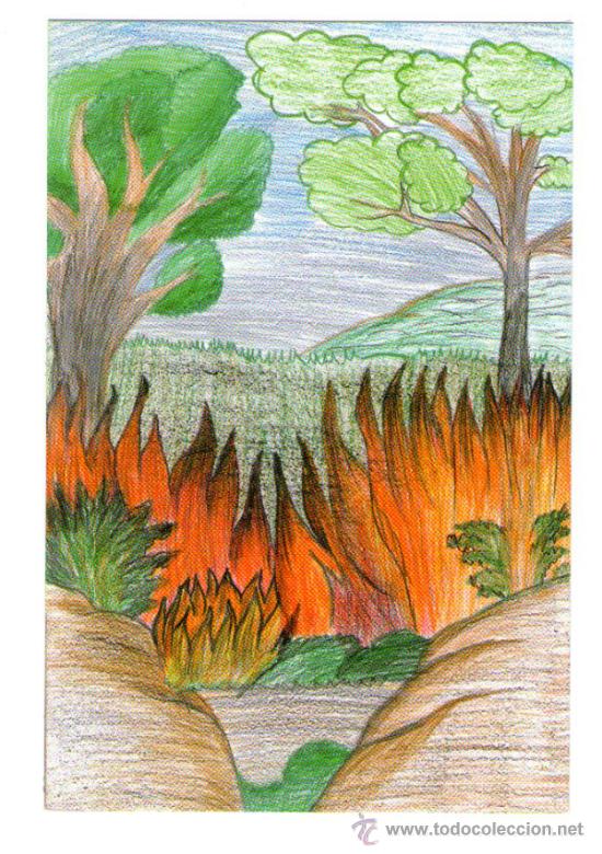 postal dibujo de incendio forestal - publicidad - Buy Antique advertising  postcards on todocoleccion