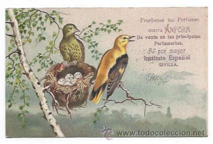 Cartoline: PRUEBENSE LOS PERFUMES MARCA &Aacute;NFORA, EN LAS PRINIPALES PERFUMERIAS. PUBLICIDAD.