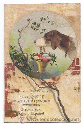 Cartoline: PRUEBENSE LOS PERFUMES MARCA &Aacute;NFORA, EN LAS PRINIPALES PERFUMERIAS. PUBLICIDAD.