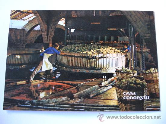 Postales: postal de cavas codorniu - prensado de la uva (sin circular, a&ntilde;os 70 aprox) - Foto 1