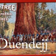 Postales: POSTAL DE VINOS BIG TREE DE CALIFORNIA - LA CABALLERÍA ESCOLTANDO A THE GRIZZLY GIANT - SIN USAR.. Lote 37687439