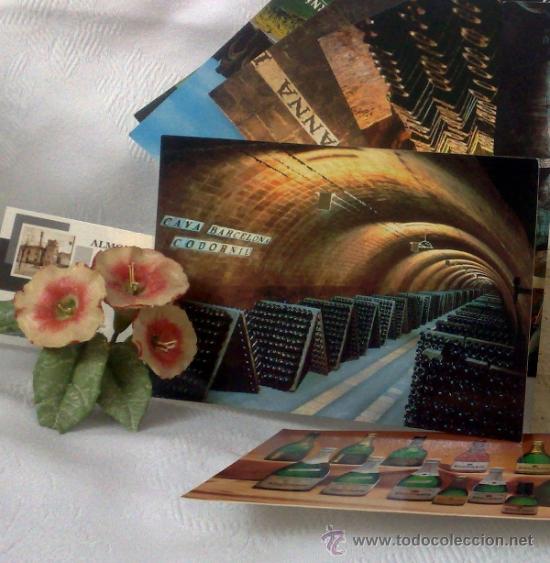Postales: A&Ntilde;O 1992.- CAVAS CODORNIU.-COLECCI&Oacute;N DE OCHO POSTALES SIN CIRCULAR. - Foto 3