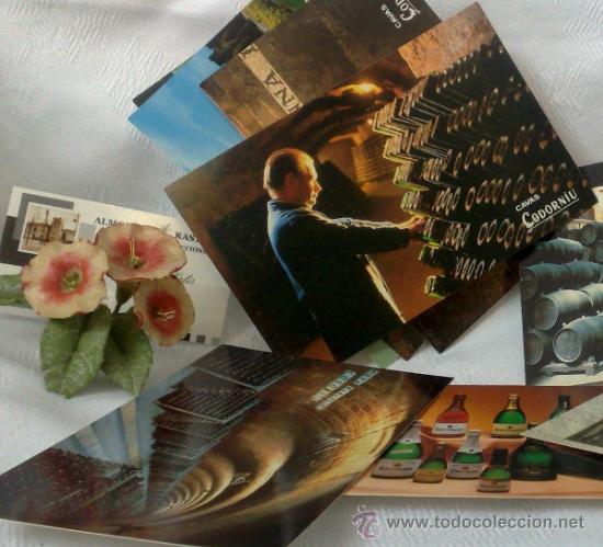 Postales: A&Ntilde;O 1992.- CAVAS CODORNIU.-COLECCI&Oacute;N DE OCHO POSTALES SIN CIRCULAR. - Foto 5