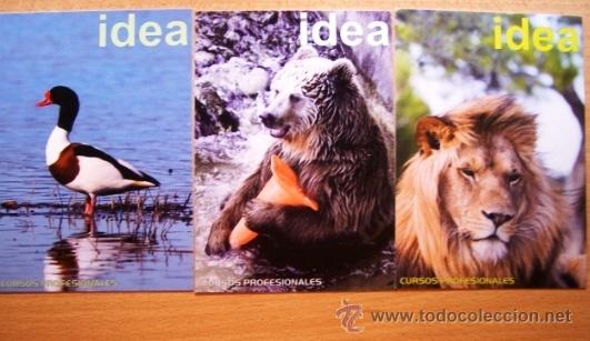 Postales: IDEA, CURSOS PROFESIONALES - Foto 1