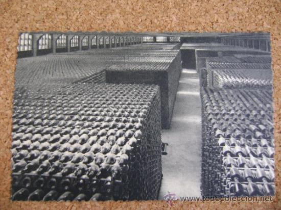 Postales: Lote 9 postales Codorniu con estuche, 1960 - Foto 4