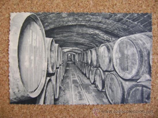 Postales: Lote 9 postales Codorniu con estuche, 1960 - Foto 7