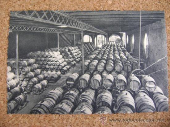 Postales: Lote 9 postales Codorniu con estuche, 1960 - Foto 10