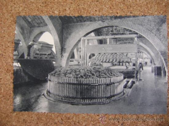 Postales: Lote 9 postales Codorniu con estuche, 1960 - Foto 12