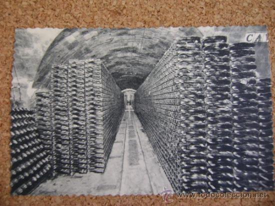 Postales: Lote 9 postales Codorniu con estuche, 1960 - Foto 13