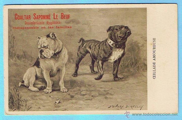 Postkarten: OEILLADE AMOUREUSE. POSTAL PUBLICITARIA DE COALTAR SAPONINE LE BOEUF. STANLEY BERKELEY