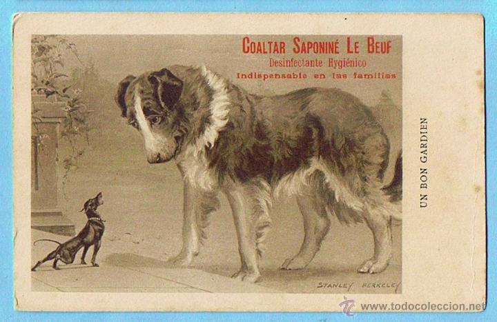Postkarten: UN BON GARDIEN. POSTAL PUBLICITARIA DE COALTAR SAPONINE LE BOEUF. STANLEY BERKELEY