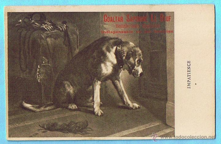 Postais: IMPATIENCE. POSTAL PUBLICITARIA DE COALTAR SAPONINE LE BOEUF