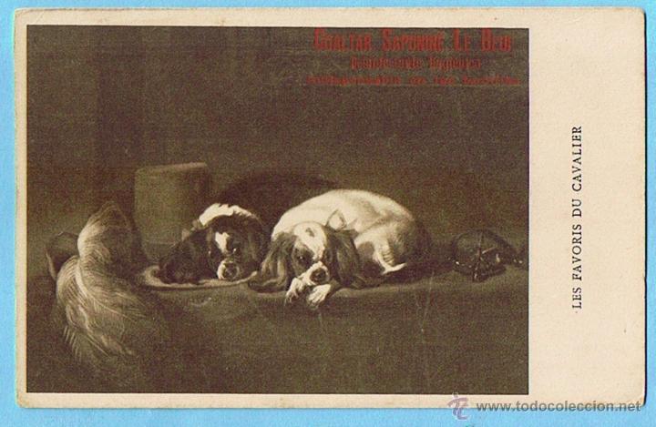 Postais: LES FAVORIS DU CAVALIER. POSTAL PUBLICITARIA DE COALTAR SAPONINE LE BOEUF