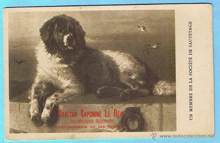 Postkarten: UN MEMBRE DE LA SOCIETE DE SAUVETAGE. POSTAL PUBLICITARIA DE COALTAR SAPONINE LE BOEUF