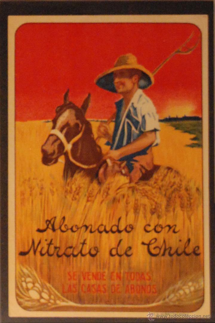 Postales: NITRATO DE CHILE - ILUSTRADA - SIN CIRCULAR Y DORSO DIVIDIDIDO - Foto 1