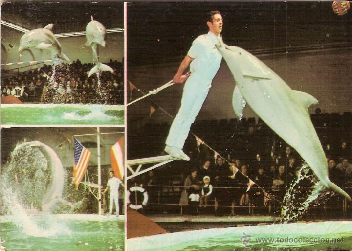 Postales: FLORIDA DELPHIN TOUR, TOURNEE OFICIAL POR ESPA&Ntilde;A - GRAF. CASTILLA - CIRCULADA