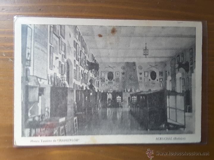 Postales: POSTAL MUSEO TAURINO - Foto 1
