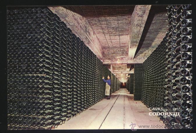 Postales: A-2716- CAVA CODORNIU. BOTELLAS ENVEJECIENDO. - Foto 1