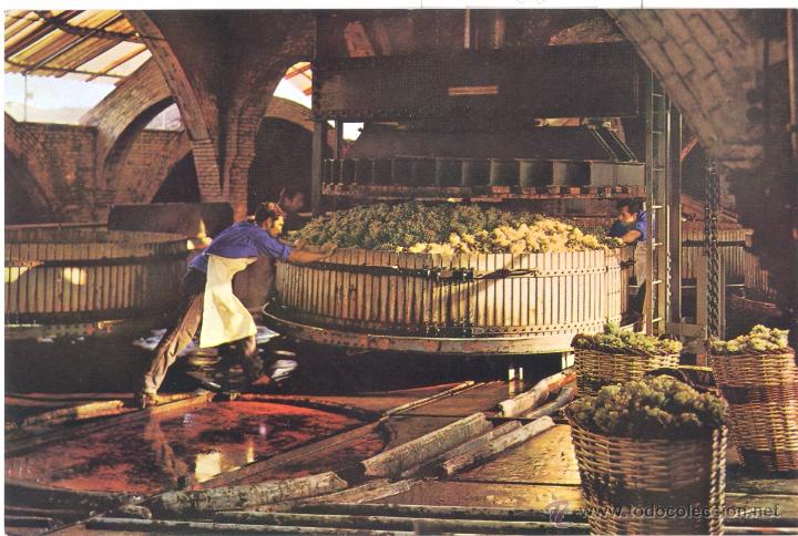 Postales: CAVAS CODORNIU- PRENSADO DE LA UVA - Foto 1
